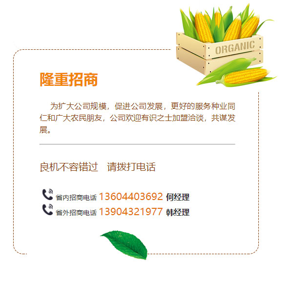 新聞動態